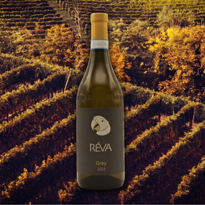 Uncork Your Season | Autumn